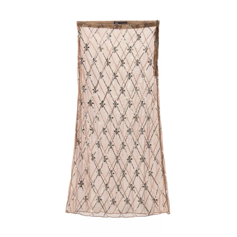 Zara embroidered beaded midi skirt